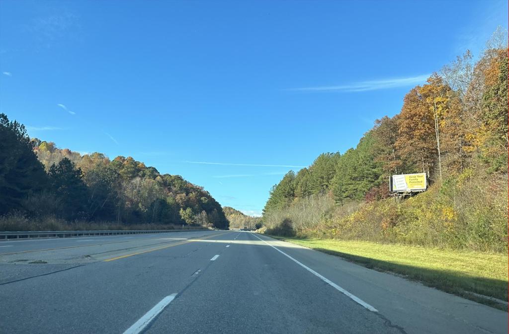 Photo of a billboard in David