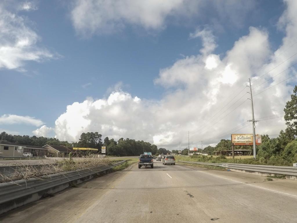 Photo of a billboard in Edisto Island