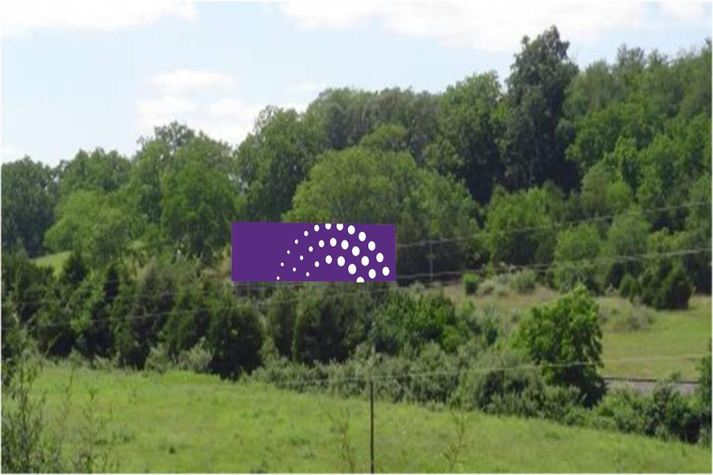 Photo of a billboard in Churchville