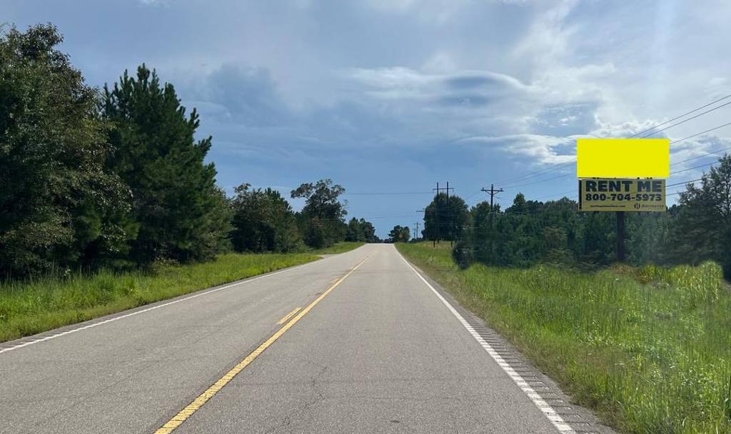 Photo of a billboard in Ellisville
